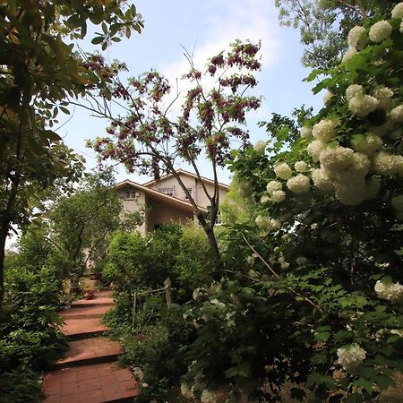 La Casa Nel Bosco Bed & Breakfast Savio di Ravenna Exterior photo